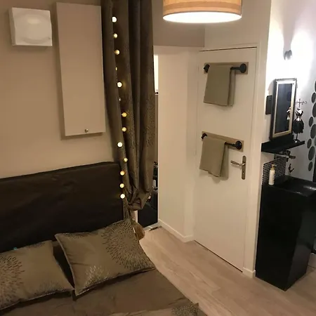 Apartamento Au Coeur De Ferrand 30 M² Cheminee *